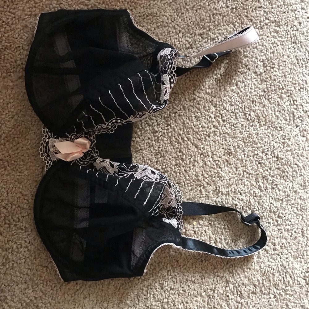 Lanebryant bra